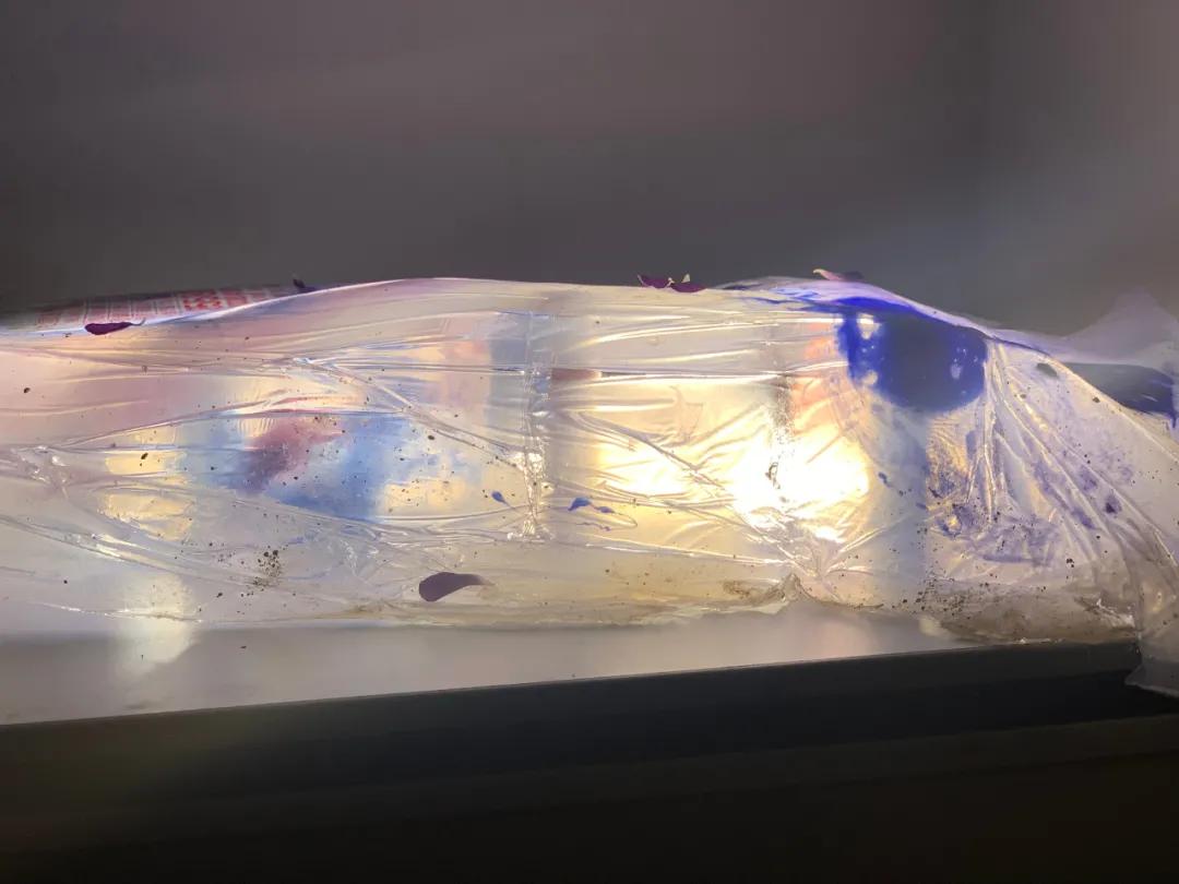 gap一年有什么打算,gap一年会怎么样