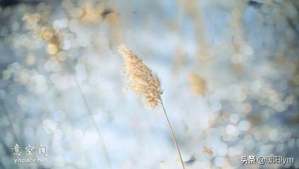 真实的癌症患者自述反面教材,癌症患者自述需要家人的关心