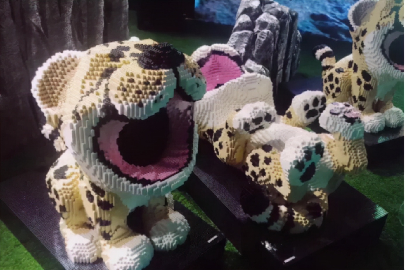 足球里的奇葩合同,足坛奇葩合同条款