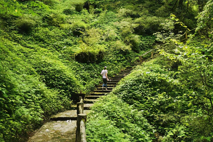 端午节景区迎来旅游小高峰,端午节青山旅游景区