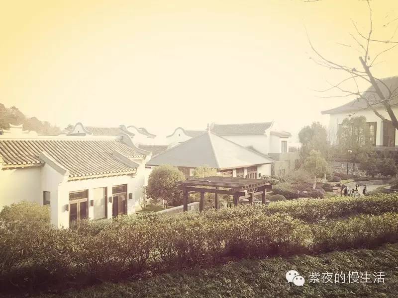 宁波东钱湖雅戈尔香湖湾,宁波柏悦府