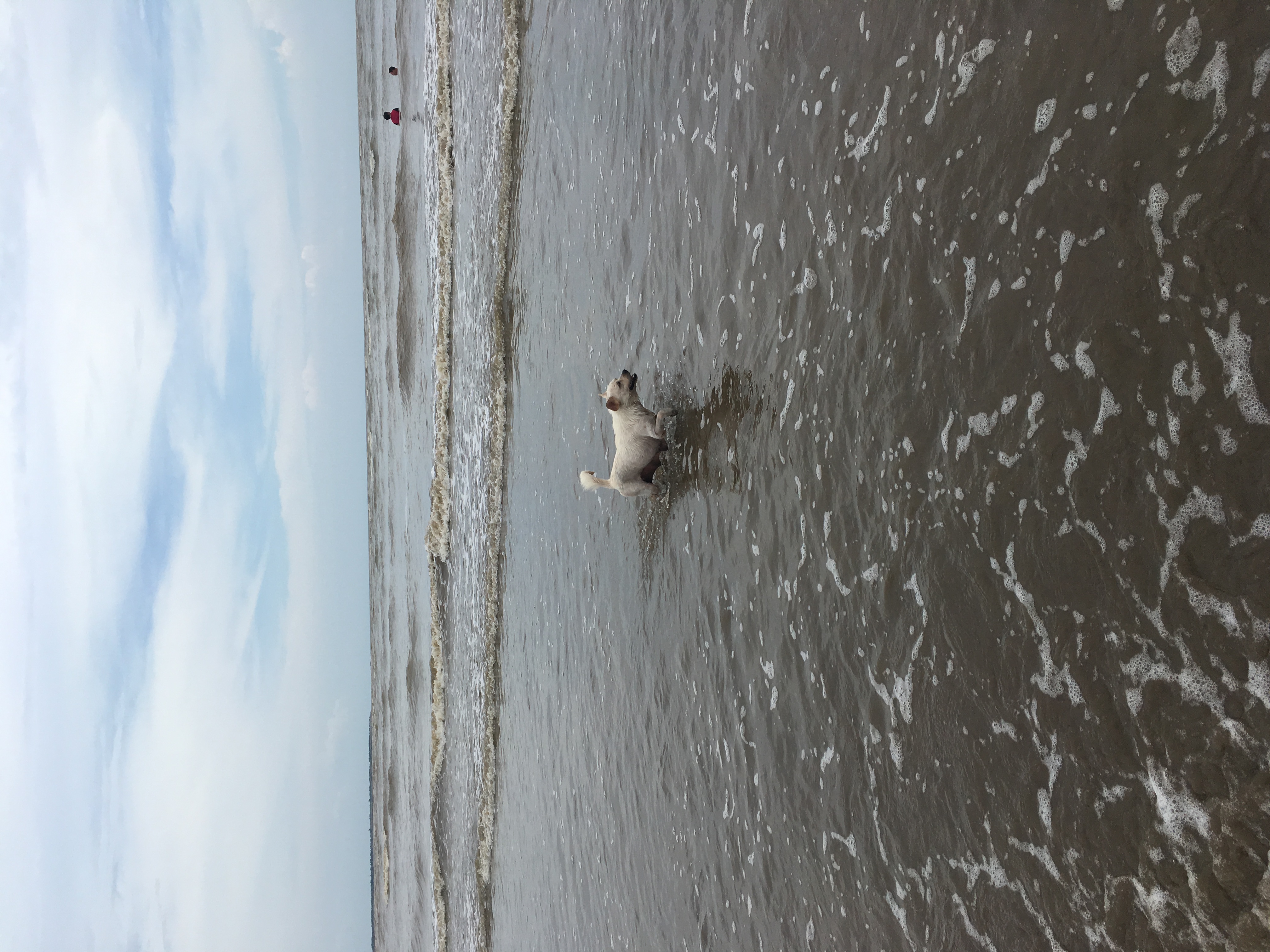 深圳沙滩还是珠海沙滩好一点,珠海阳光沙滩免费吗