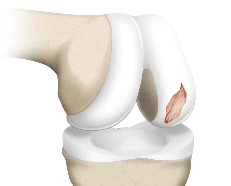 热爱舞蹈的老阿姨,热爱跳舞的阿姨