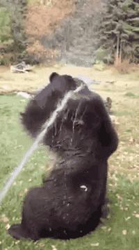 马桶的水怎样排干净,马桶堵了怎么快速冲下去