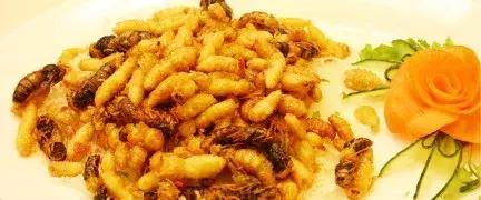 海南琼中最好的地方,海南琼中最美风景区