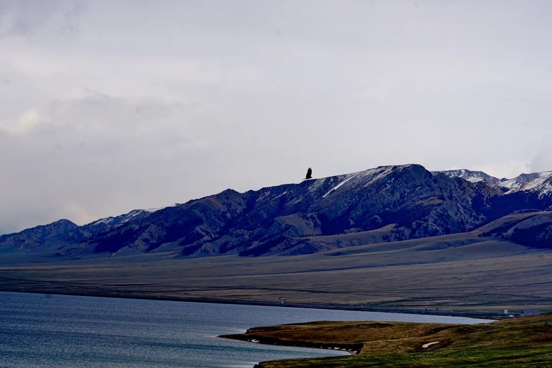 来一场说走就走的大西北之旅,来一场说走就走的旅行相约北京