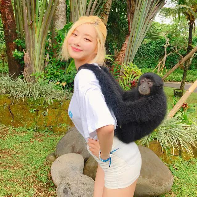 出生就很正的「母胎佳人」！还是个会打碟的球鞋收藏家