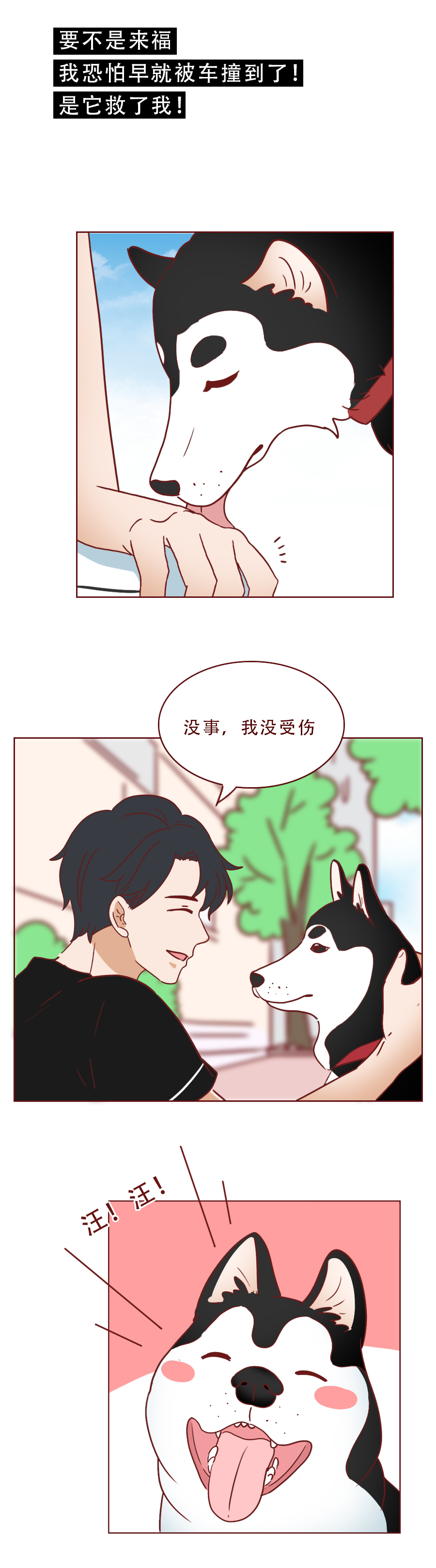 捡回来抑郁的猫,捡回一只小猫原居民抑郁了