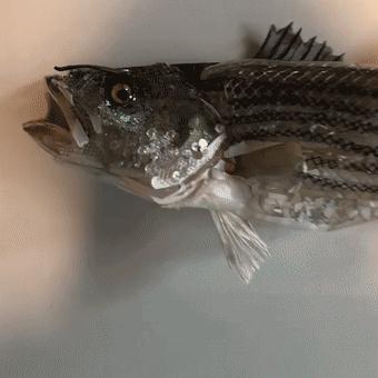 閫忚澶栨寕鐪熺殑鍋囩殑,閫忚澶栨寕鐪熷疄浜嬩欢