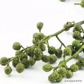 香料的正确使用方法和注意事项,卤水加桂皮的正确方法