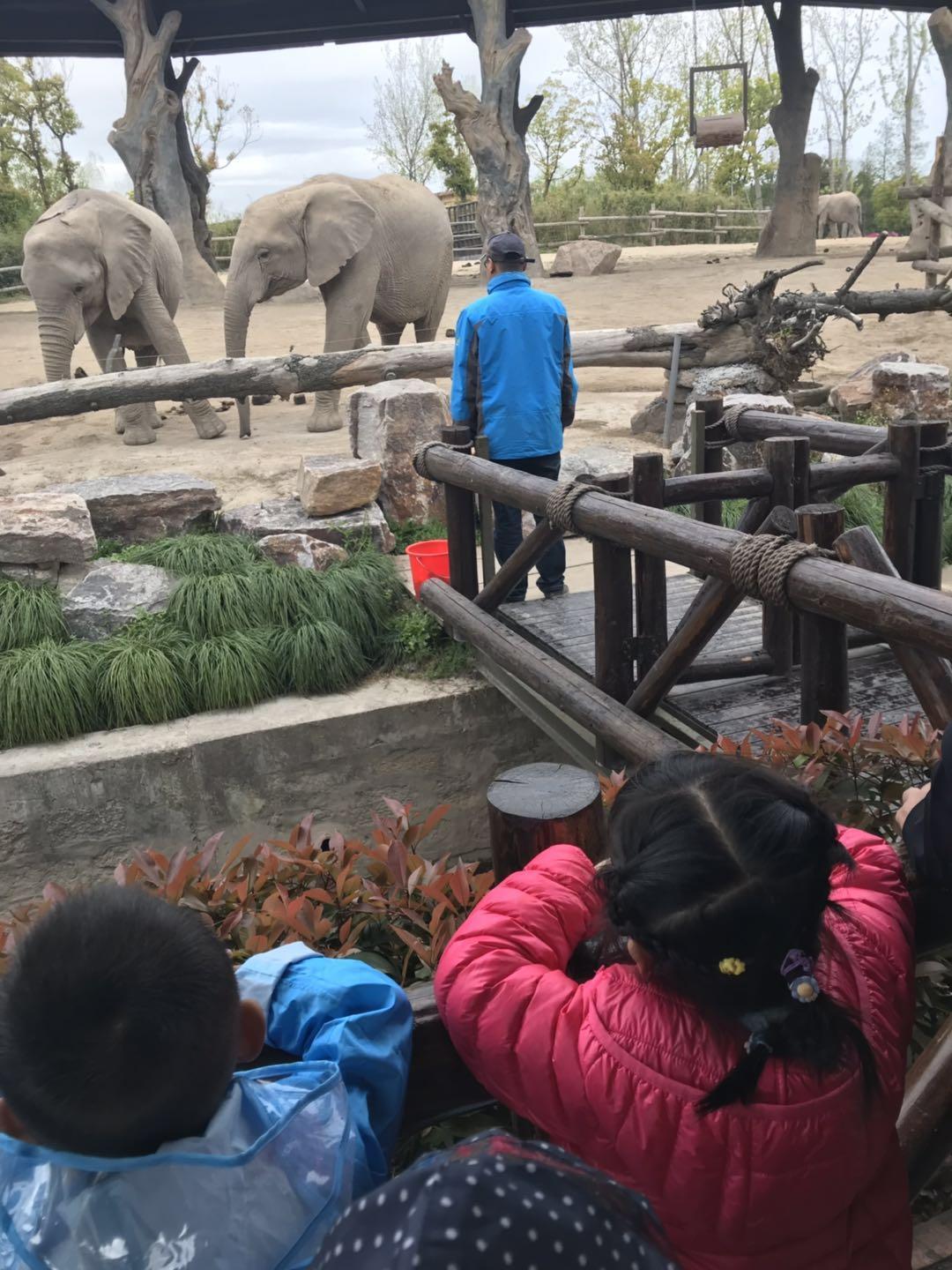 上海野生动物园太阳广场节目安排,上海野生动物园建议游玩时间