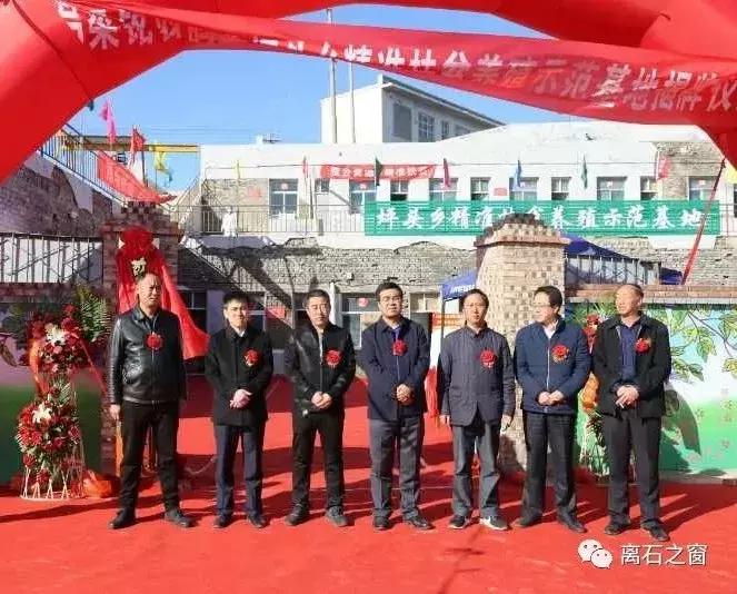 发展赛鸽养殖助力贫困户脱贫致富,铭羽鸽业