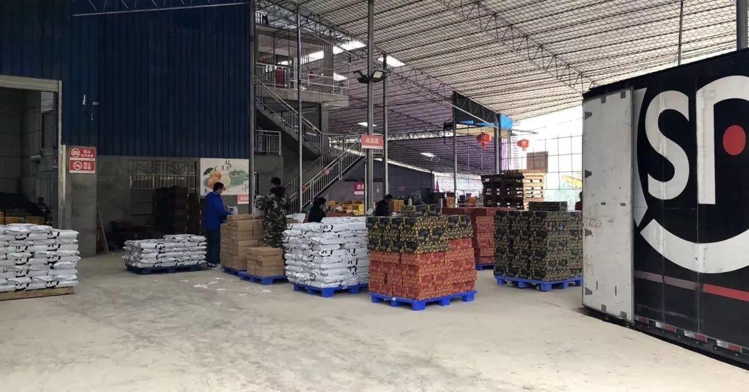 冰糖心金桔独立包装,冰糖心阿克苏苹果顺丰包邮