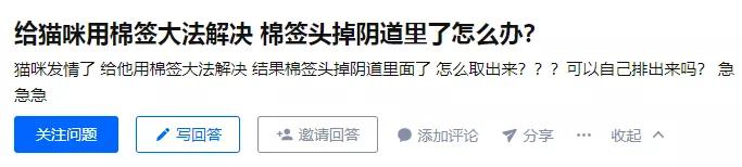用棉签能让母猫停止发情？快别傻了……