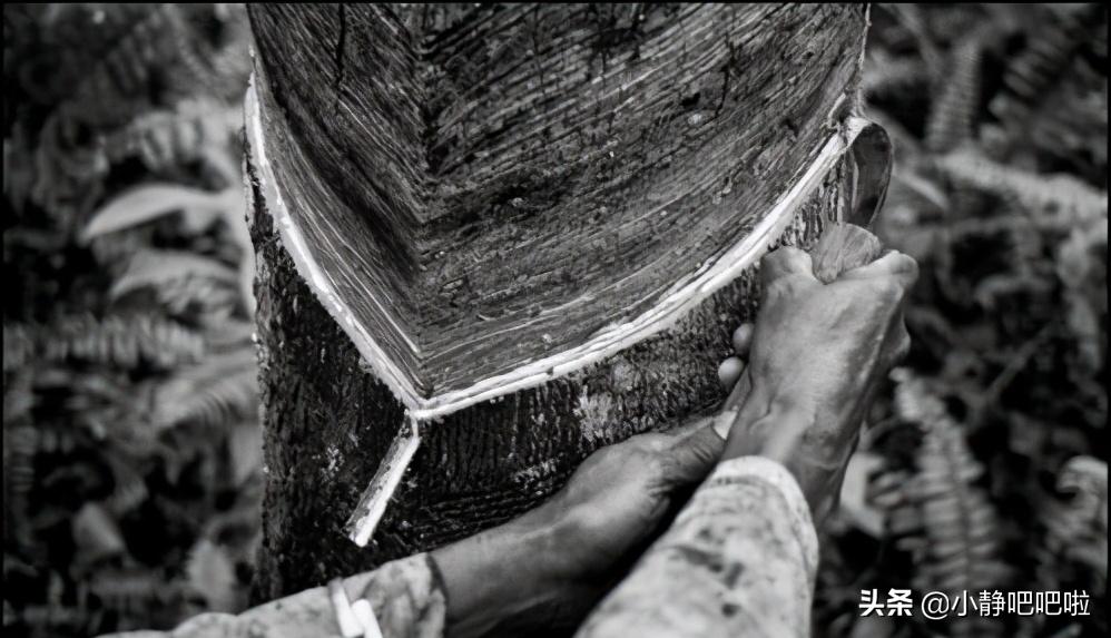 你不知道的国家冷知识摩洛哥,印度尼西亚颠覆你的认知