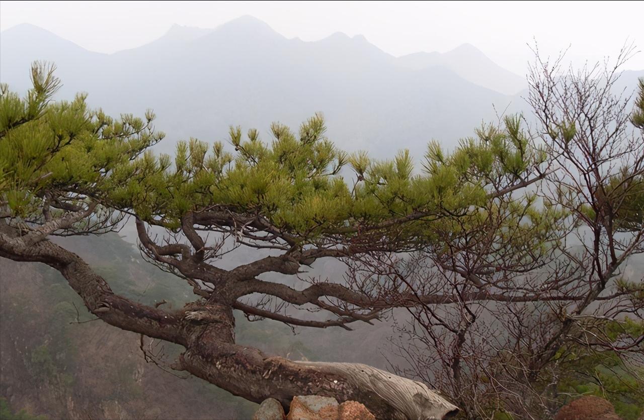 辽宁省发展鞍山篇,辽宁省鞍山市区域划分
