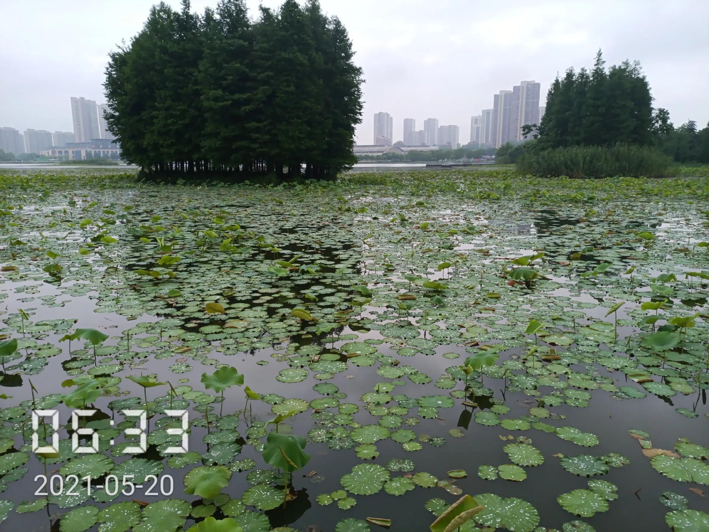 和城管斗智斗勇的一天,跟城管斗智斗勇的一天