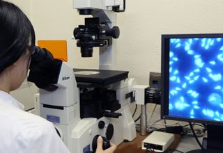 日本一流的综合性国立大学之一——名古屋大学