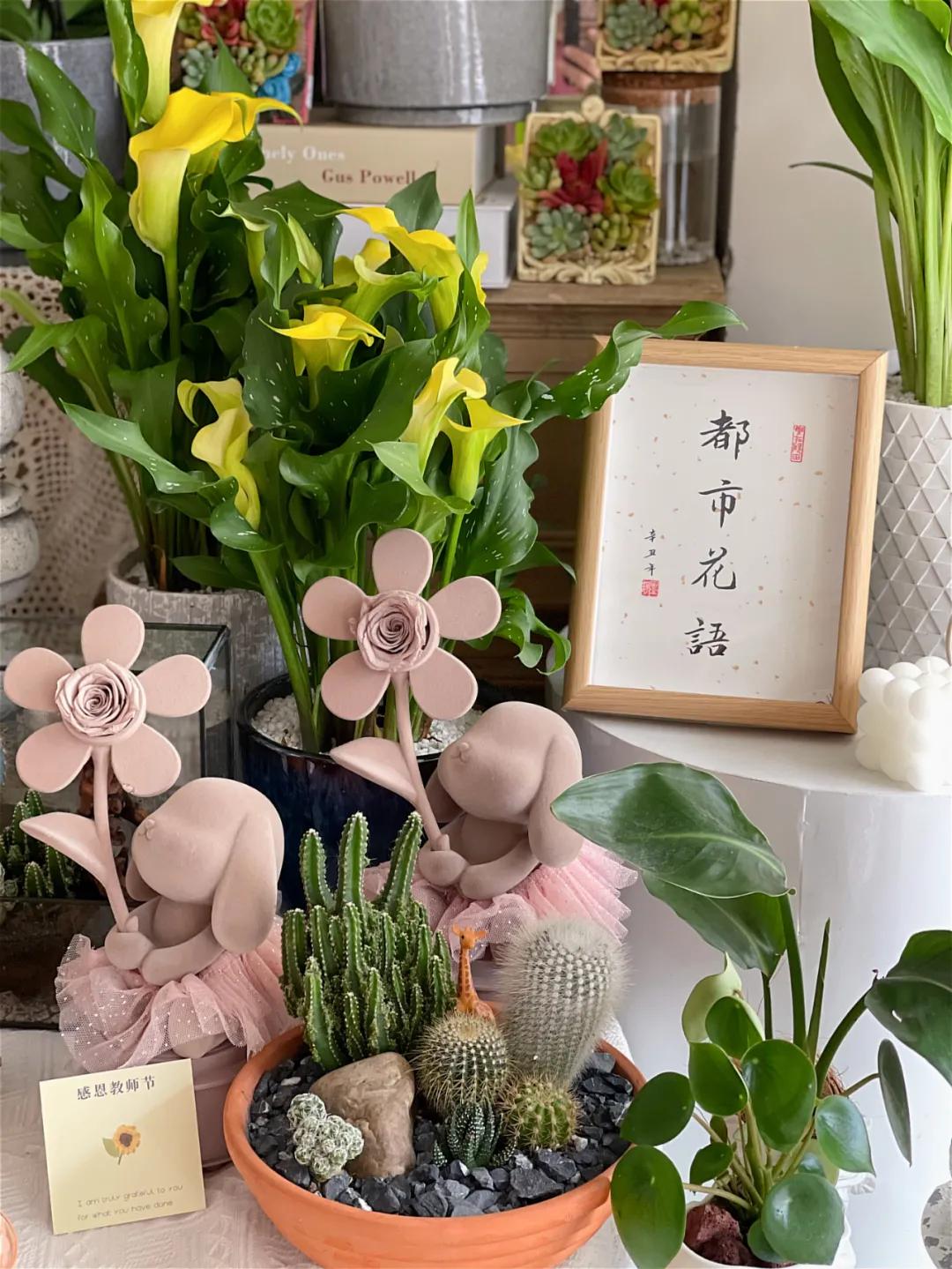 都市花语门票多少钱,都市花语免费阅读