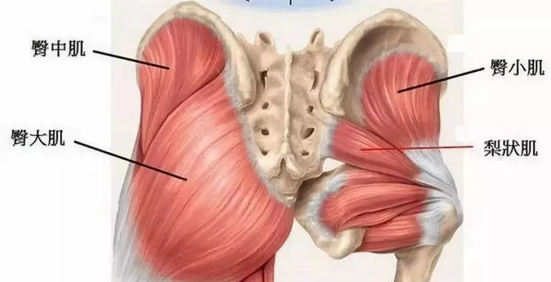 郑雅琳健身教练,健身锻炼塑造完美体型秘诀