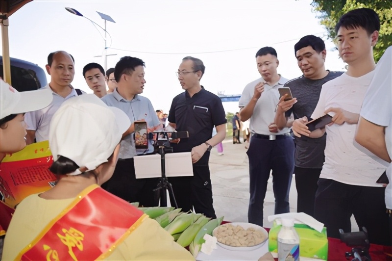 “直播经济”正当红——南阳市探索“互联网+”经济转型新突破