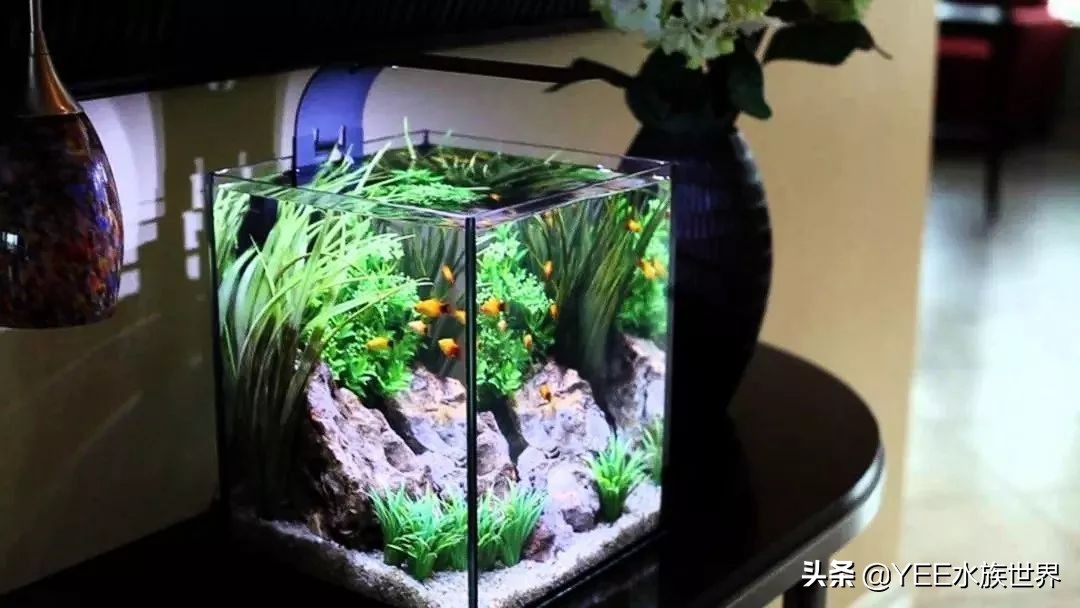 养鱼水浑用什么药,养鱼水浑