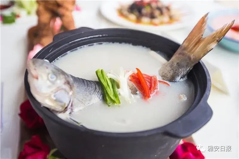 来雅安旅游,雅安二郎山休闲特色民宿