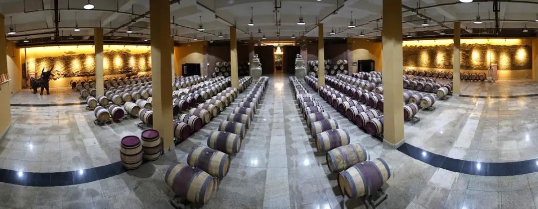 宁夏葡萄酒贺兰山东麓怎么样,宁夏干红葡萄酒哪个品牌最好