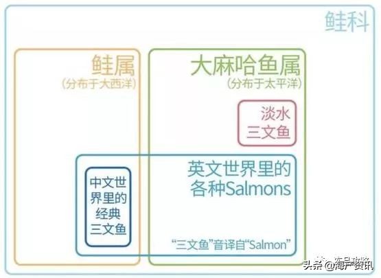 挪威每年出口中国三文鱼,挪威三文鱼行情