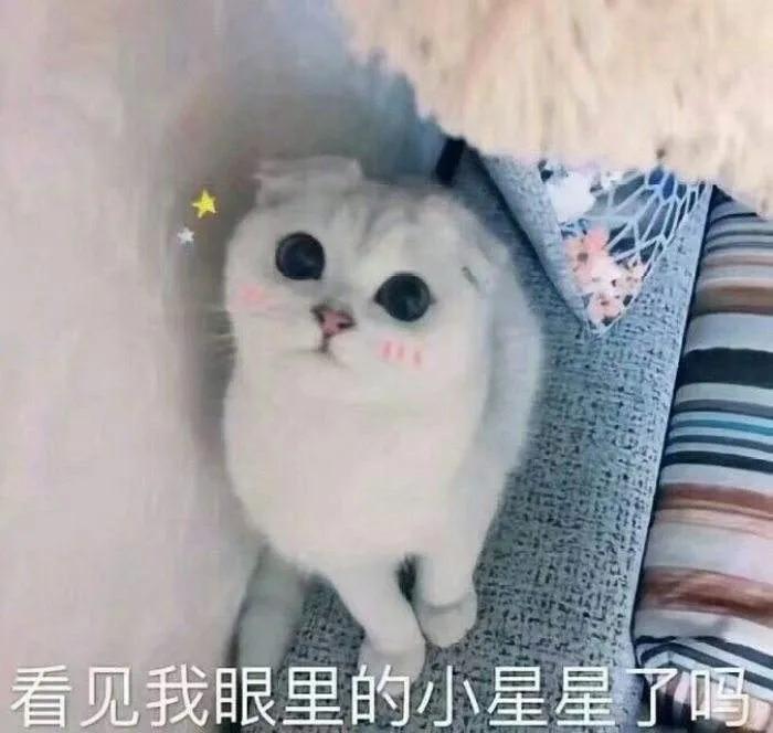 黄埔体育中心场馆时段,黄埔体育中心体育馆门票