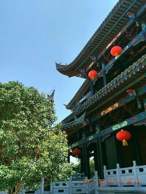 红色宝石树图片,红色宝石