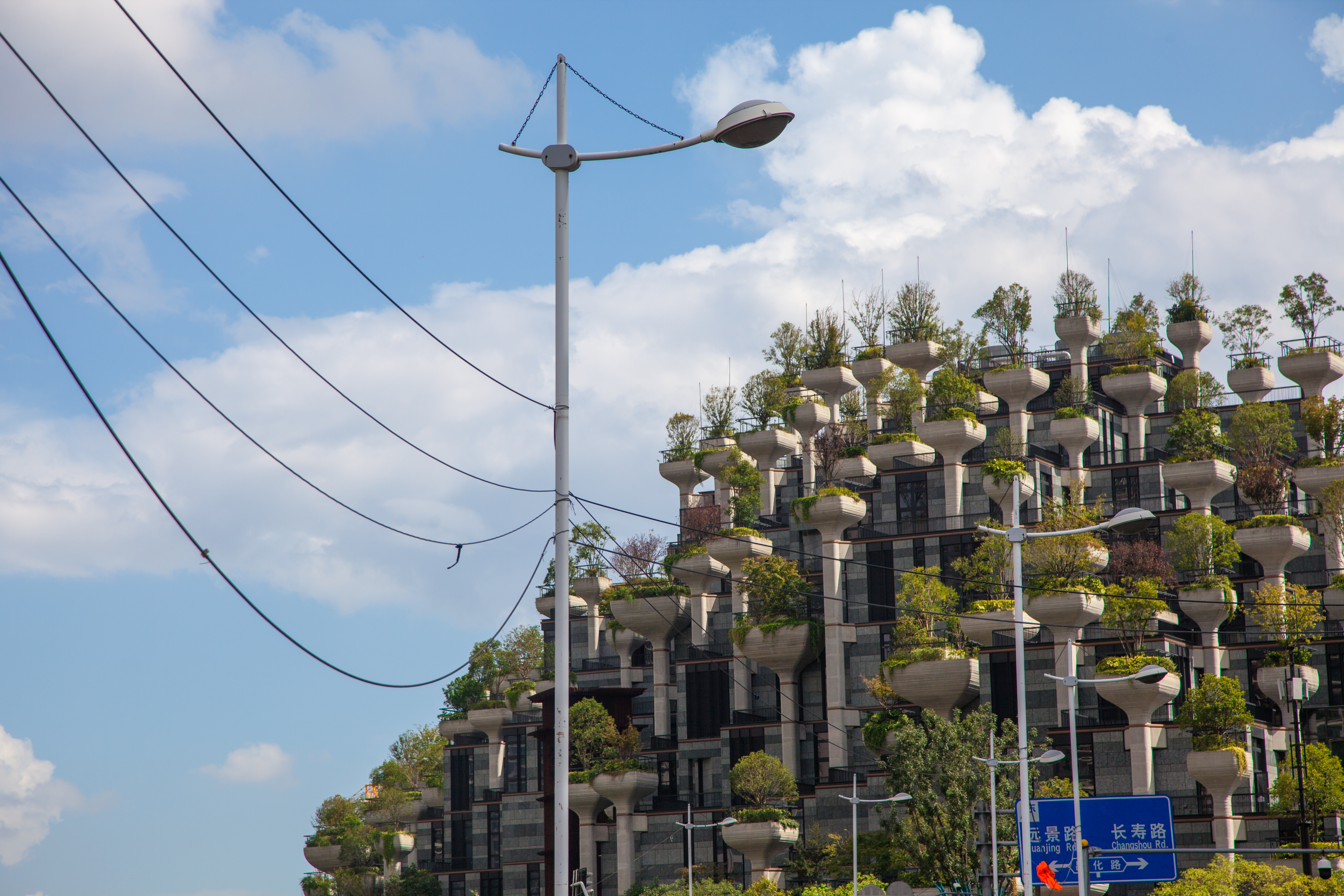 上海地标建筑1000棵树,上海天安千树谁开发的