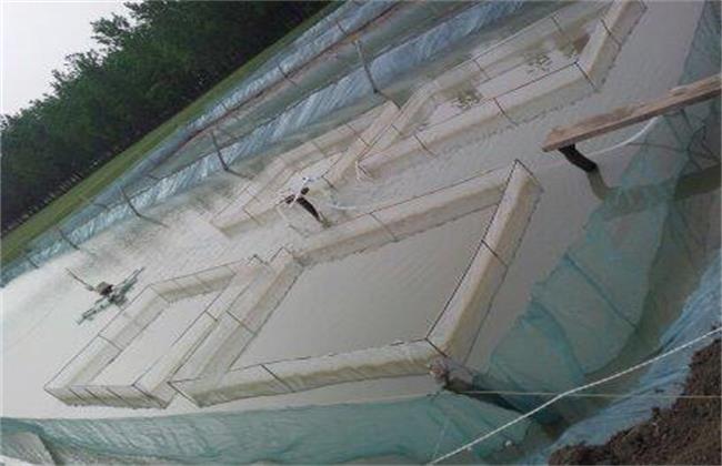 泥鳅养殖模式,泥鳅养殖方式有哪几种