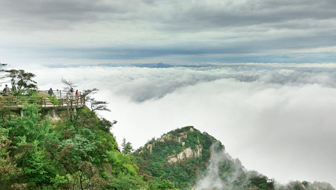 奥运金牌榜竞猜,奥运奖牌神预测