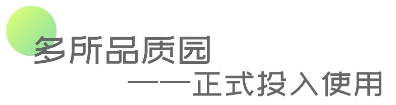 这个被我们“忽视”的区，悄悄新增了这么多一级园