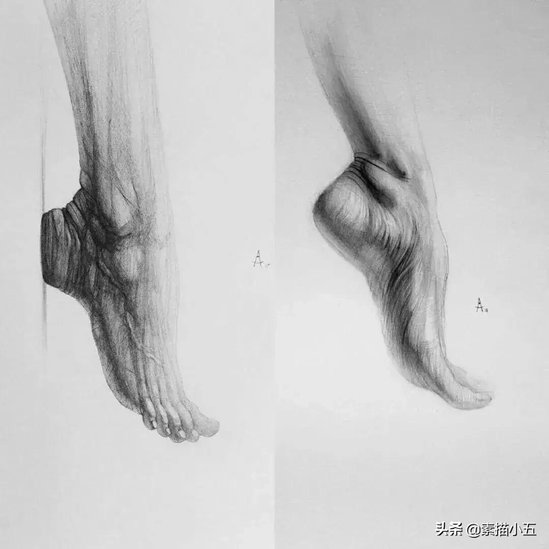 他画的素描无与伦比,他画的画栩栩如生让人拍案叫绝