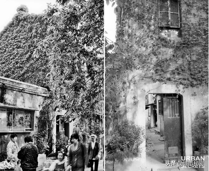 曾经的杭州第一大家族,杭州十大望族