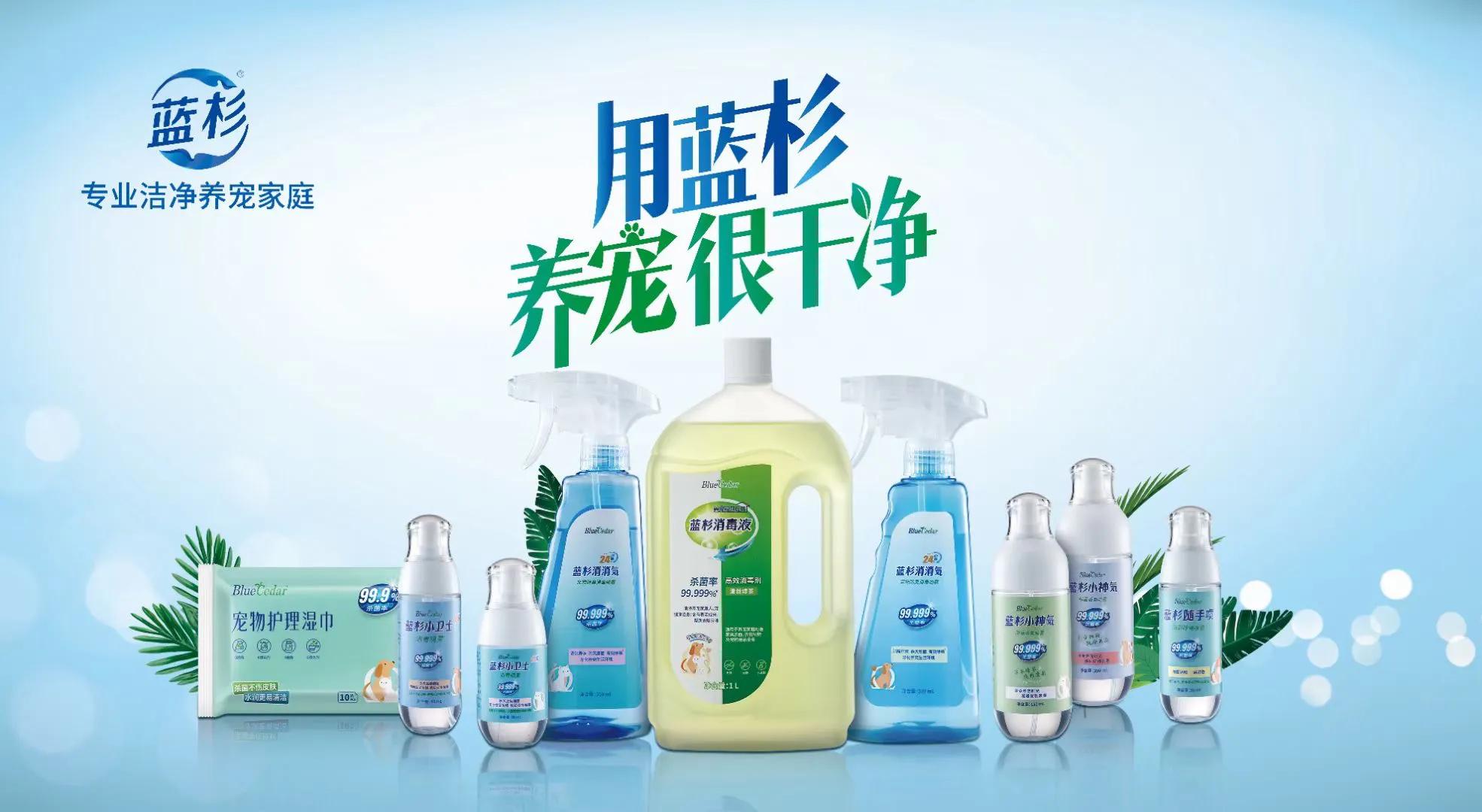 十年老猫舍深谈，如何发现，应对，治疗《猫藓》