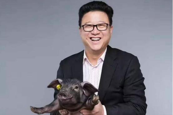 丁磊谈养猪行业,丁磊养猪价格表