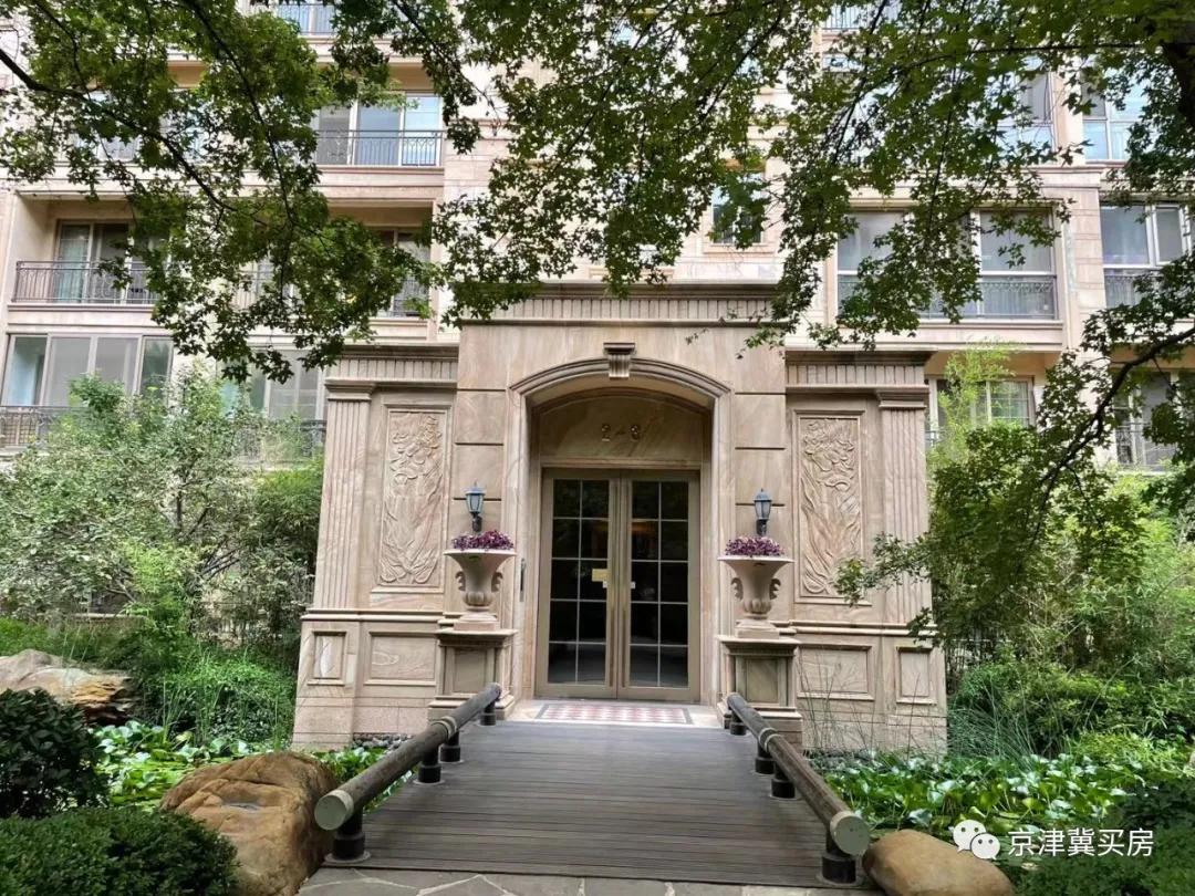 朝青2018年价格,朝青价格走势