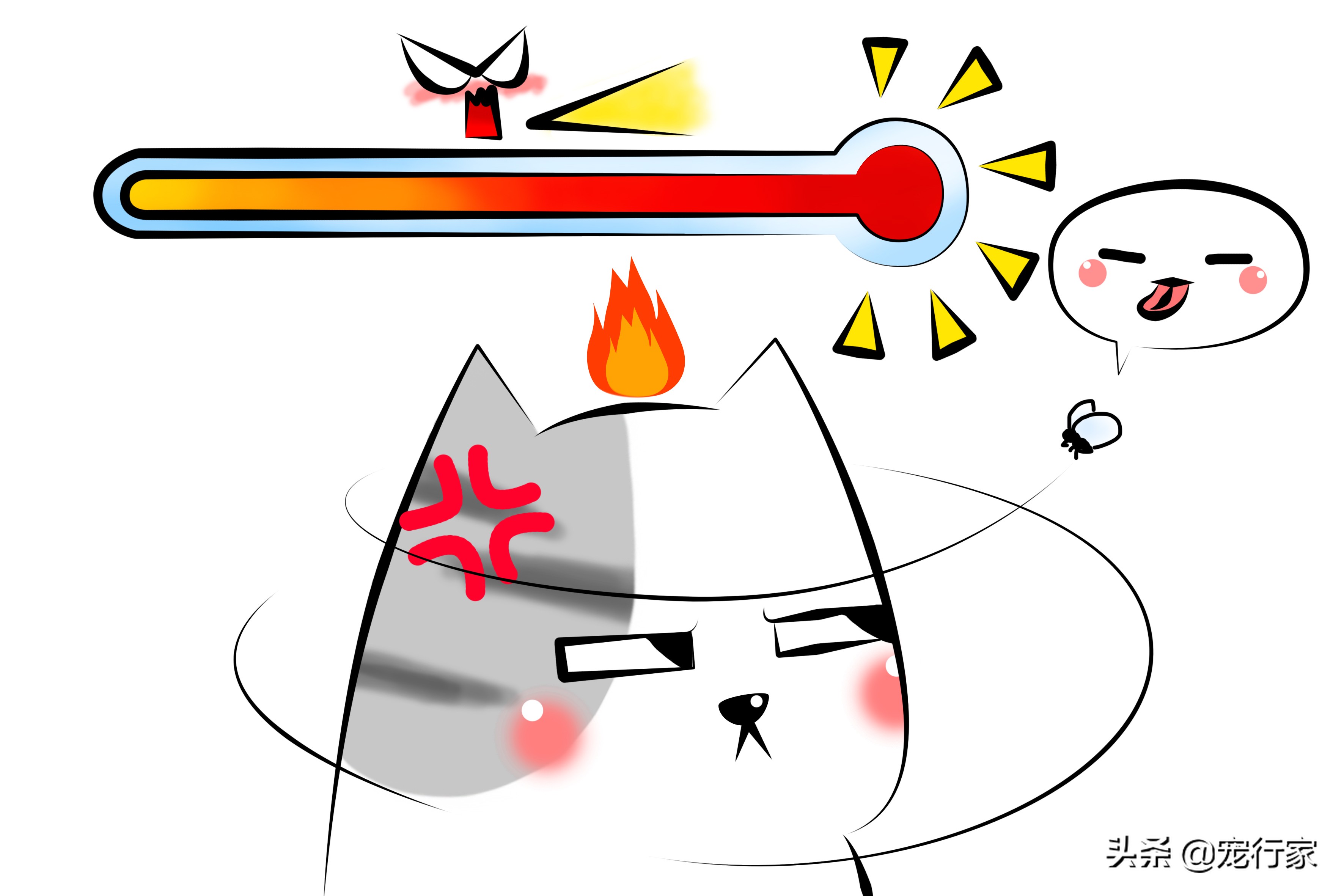 看着猫咪吃美食,看着猫咪吃老鼠猫咪会牙齿软吗