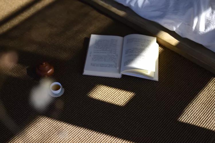 世界读书日读些什么书最简单,世界读书日在书中邂逅更好的自己