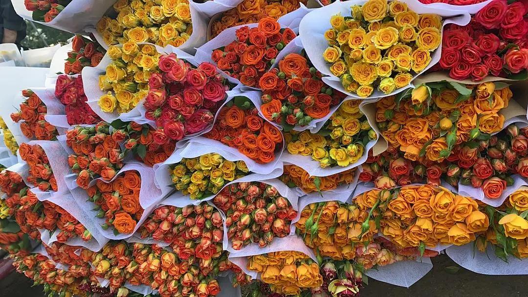 100个稀奇古怪的赚钱点子,最不可思议的搞钱方式