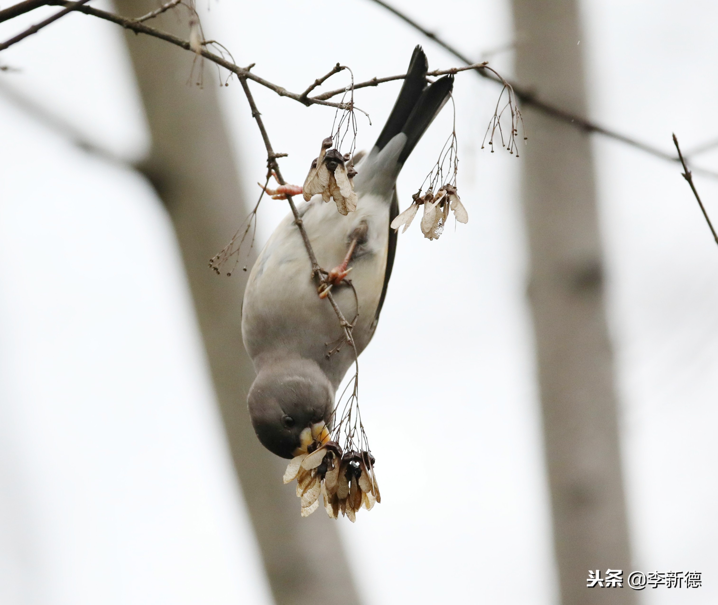合肥高新区蜀峰湾,合肥市蜀峰湾