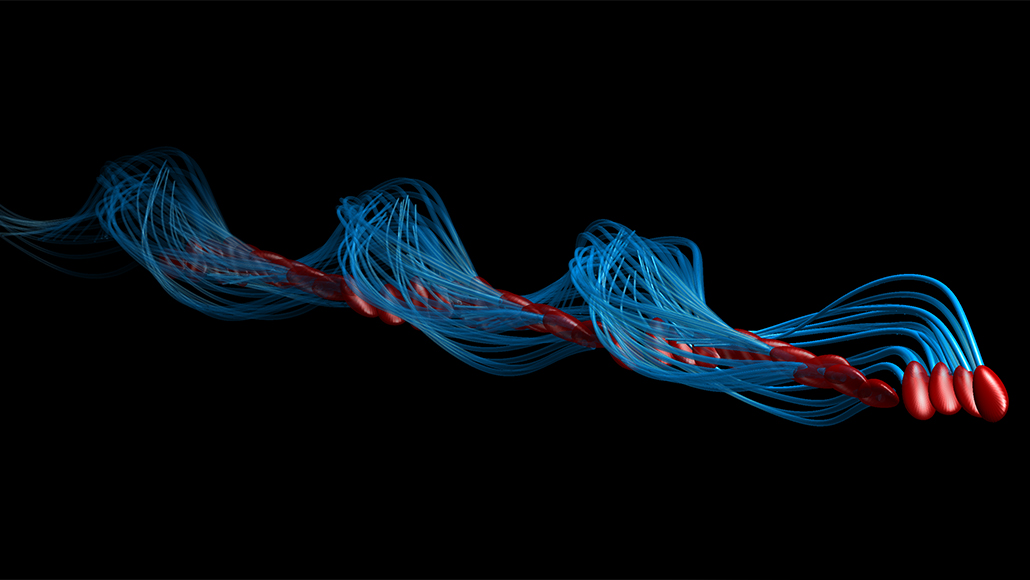 研究显示：精子像钻头一样钻入体内！它“欺骗”了科学家300多年