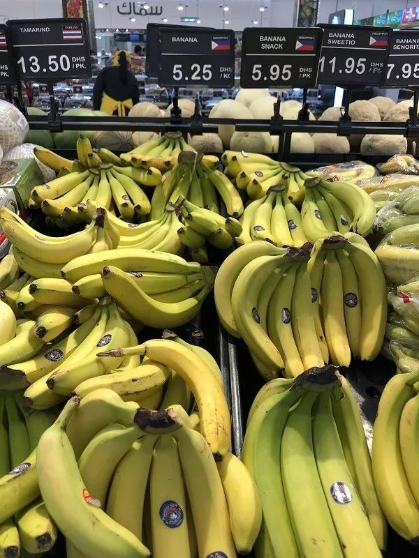 迪拜生活真实工资,在迪拜怎么降低生活成本