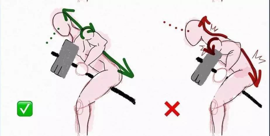 杠铃划船练背几个动作,最好的练背动作杠铃划船