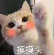 我竟然用一支口红的钱，承包了超市的半个货架？！