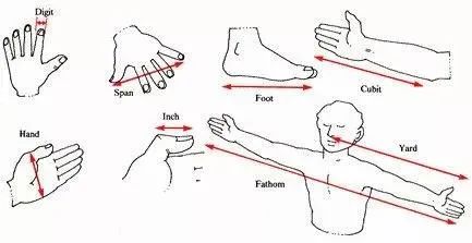 孔子九尺六寸到底有多高,孔子身高九尺六寸