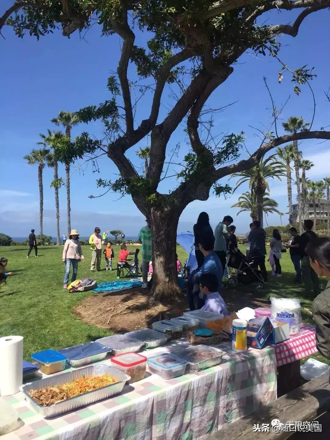 感恩相遇感恩相伴感恩相知,常怀感恩之心感恩所有的相遇